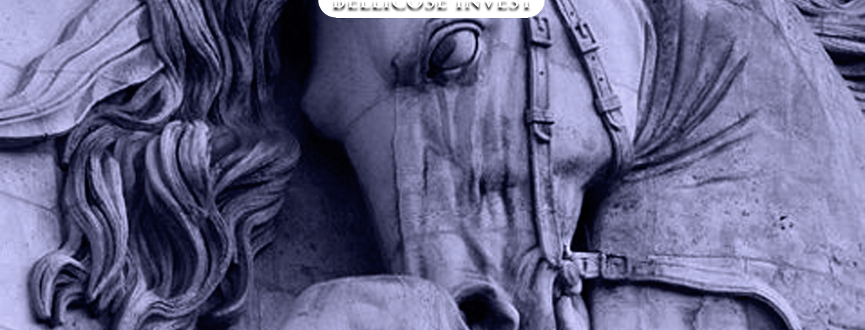 Bellicose Invest home page