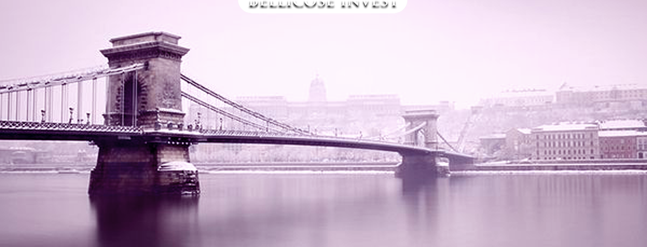 Bellicose Invest home page