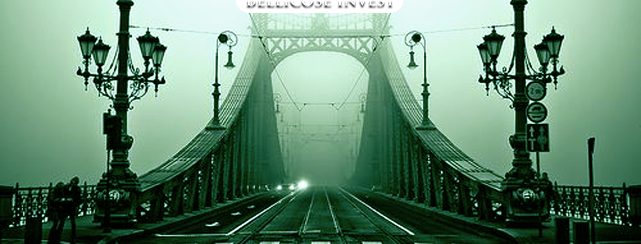 Bellicose Invest home page