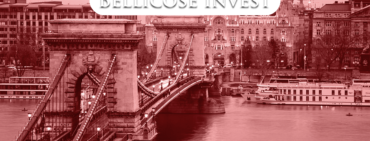Bellicose Invest home page
