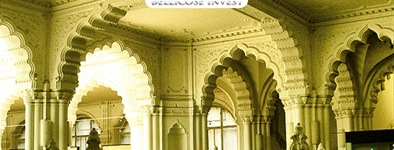 Bellicose Invest home page